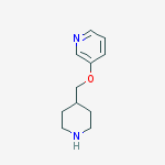 Structure of 3-(piperidin-4-ylmethoxy)pyridine