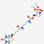 Structure of DEPMPO-biotin