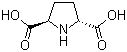 Structure of (2R,5R)-2,5-Pyrrolidinedicarboxylic acid