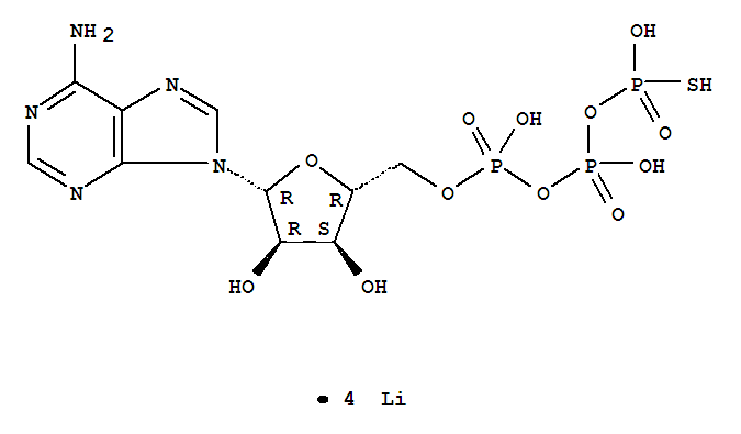 Structure of ADENOSINE 5-O-(3-THIOTRIPHOSPHATE), TETRALITHIUM SALT