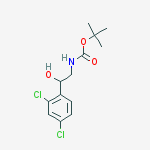 Structure of [2-(2,4-DICHLORO-PHENYL)-2-HYDROXY-ETHYL]-CARBAMIC ACID TERT-BUTYL ESTER