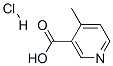 Structure of 4-METHYLNICOTINIC ACID HYDROCHLORIDE