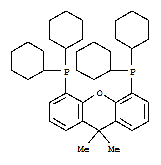 4,5-双(二环己基膦)-二苯并吡喃衍生物结构式