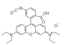 Structure of Xanthylium,9-[2-carboxy-5(or 6)-isothiocyanatophenyl]-3,6-bis(diethylamino)-,chloride