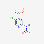 Structure of 5-Chloro-2-acetamidopyridine-4-carboxylic acid