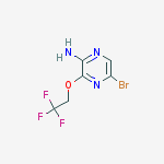 Structure of 5-Bromo-3-(2,2,2-trifluoroethoxy)pyrazin-2-amine