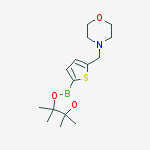 Structure of 5-(4-Morpholinylmethyl)thiophene-2-boronic acid pinacol ester, 97%