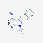Structure of 4-Amino-1-tert-butyl-3-(2,3-dimethylbenzyl)pyrazolo[3,4-d]pyrimidine
