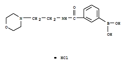 Structure of 3-(2-Morpholinoethylcarbamoyl)phenylboronic acid, HCl