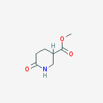 Structure of Methyl 6-oxopiperidine-3-carboxylate