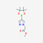 Structure of methyl 2-[4-(4,4,5,5-tetramethyl-1,3,2-dioxaborolan-2-yl)pyrazol-1-yl]acetate