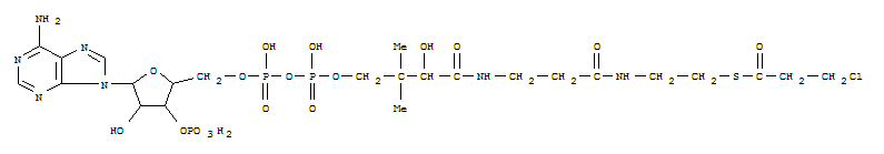 3-chloropropionyl-coenzyme A结构式