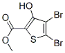 Structure of METHYL 4,5-DIBROMO-3-HYDROXYTHIOPHENE-2-CARBOXYLATE