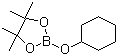 Structure of 2-CYCLOHEXYLOXY-4,4,5,5-TETRAMETHYL-[1,3,2]DIOXABOROLANE