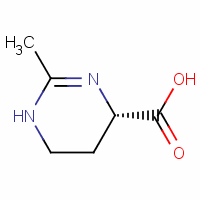 Structure of ECTOINE