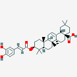 Structure of 3-O-caffeoyloleanolic acid