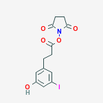 Structure of 2,5-Pyrrolidinedione, 1-(3-(3-hydroxy-5-iodophenyl)-1-oxopropoxy)-, (+ -)-