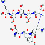 Structure of FLAG tag Peptide