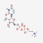Structure of Uridine Diphosphate Choline
