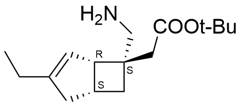 tert-butyl 2-((1S,5R,6S)-6-(aminomethyl)-3-ethylbicyclo[3.2.0]hept-3-en-6-yl)acetate